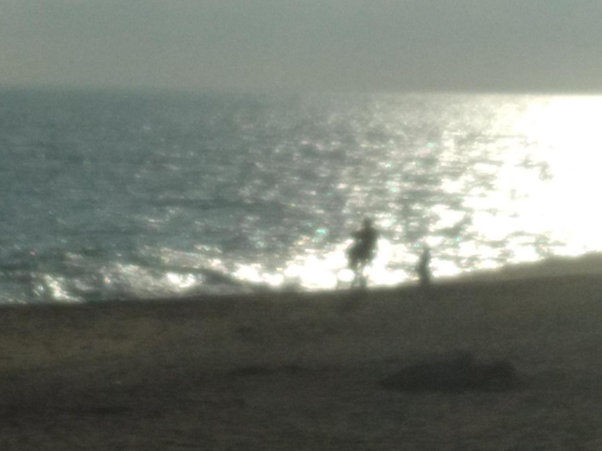 Happy Beach Safari Retreat 함반토타 객실 사진